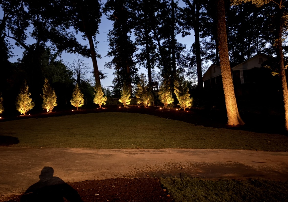 Low-voltage uplighting on evergreen trees at dusk, Lake Norman NC